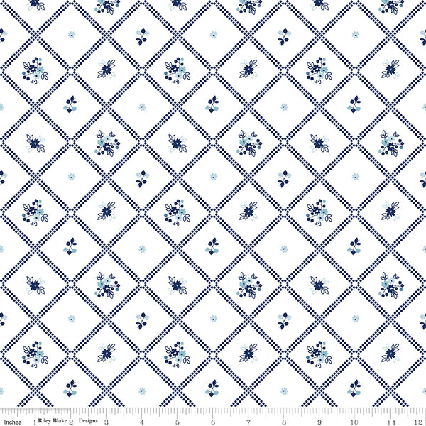 Simply Country Fabric - Dot Grid White - Tasha Noel - Riley Blake Designs - C13412-WHITE