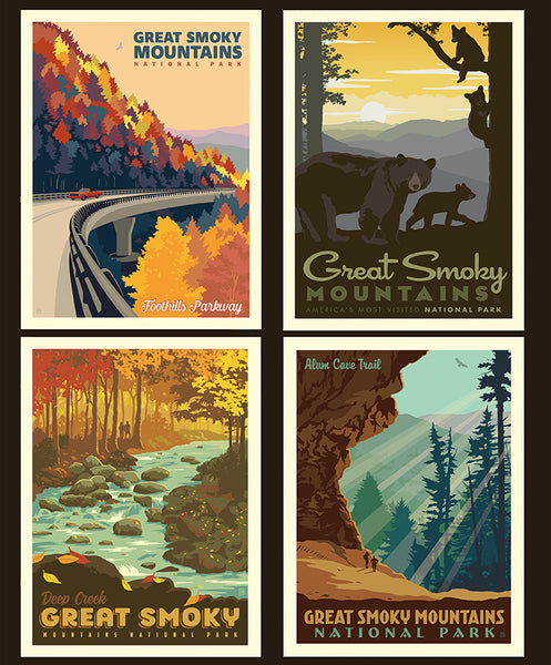 Great Smoky  Mountains Pillow Panel - Anderson Design Group - Riley Blake Designs
