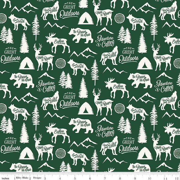Adventure Is Calling Fabric Main Green by Dani Mogstad for Riley Blake Designs C10720-GREEN