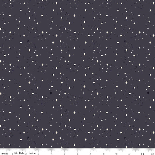 Elegance Fabric Eternal Midnight by Corinne Wells for Riley Blake Designs C12224-MIDNIGHT