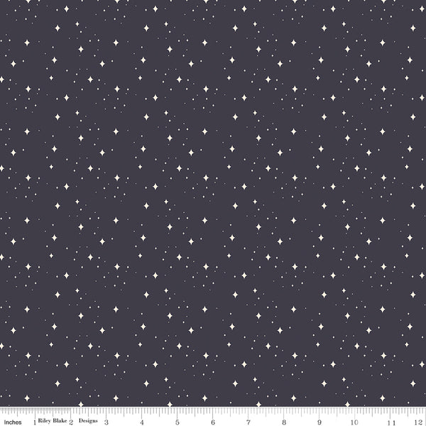 Elegance Fabric Eternal Midnight by Corinne Wells for Riley Blake Designs C12224-MIDNIGHT